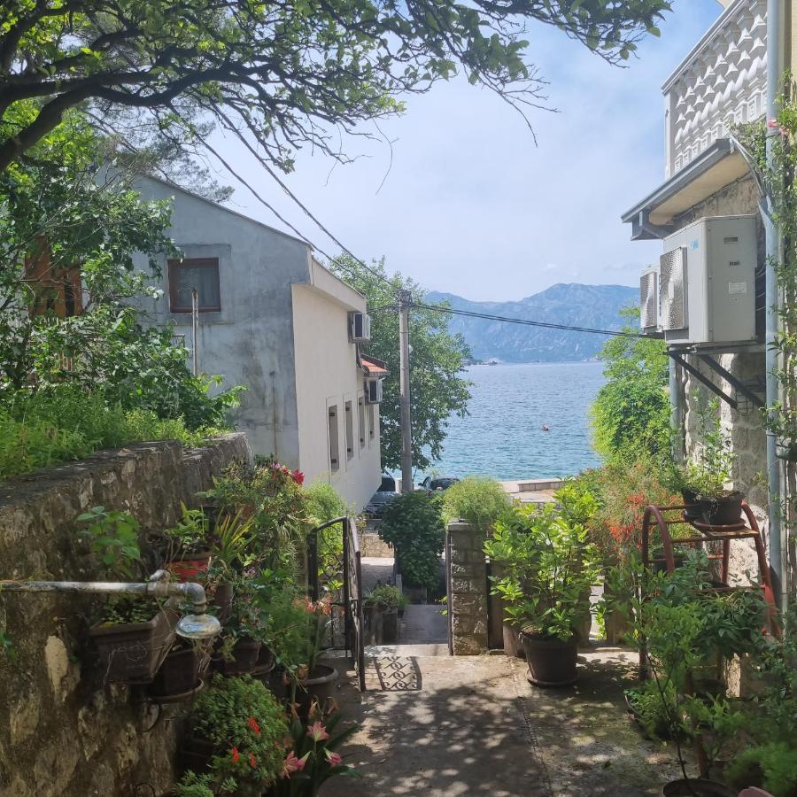 Studio On The Coast, With A View Of The Sunrise,Free We-Fi Kotor Exterior photo