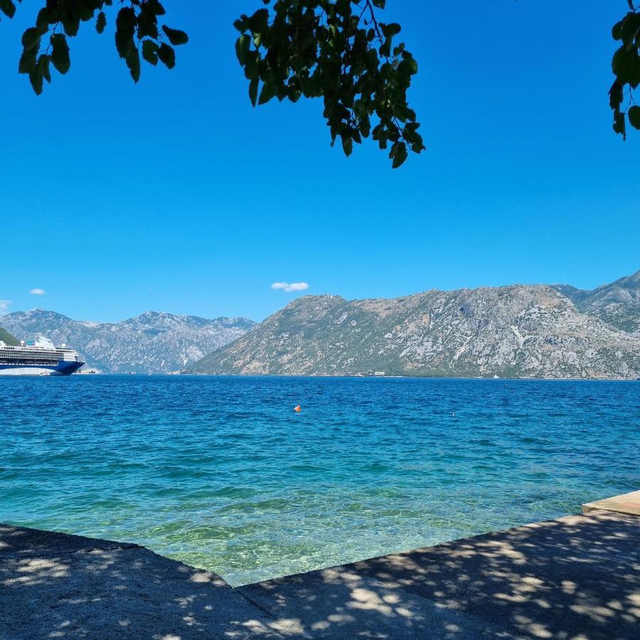 Studio On The Coast, With A View Of The Sunrise,Free We-Fi Kotor Exterior photo
